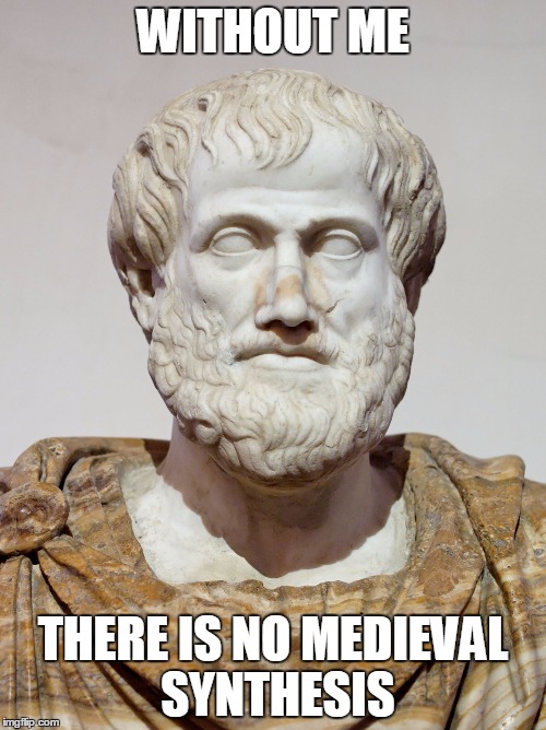 aristotle | WITHOUT ME THERE IS NO MEDIEVAL SYNTHESIS | image tagged in aristotle | made w/ Imgflip meme maker