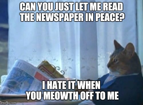I Should Buy A Boat Cat | CAN YOU JUST LET ME READ THE NEWSPAPER IN PEACE? I HATE IT WHEN YOU MEOWTH OFF TO ME | image tagged in memes,i should buy a boat cat | made w/ Imgflip meme maker