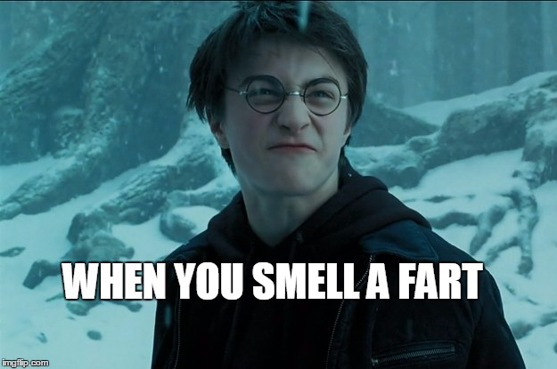 WHEN YOU SMELL A FART | image tagged in harrypottersmells | made w/ Imgflip meme maker
