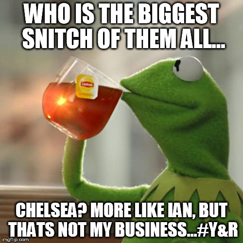 But That's None Of My Business | WHO IS THE BIGGEST SNITCH OF THEM ALL... CHELSEA? MORE LIKE IAN, BUT THATS NOT MY BUSINESS...#Y&R | image tagged in memes,but thats none of my business,kermit the frog | made w/ Imgflip meme maker