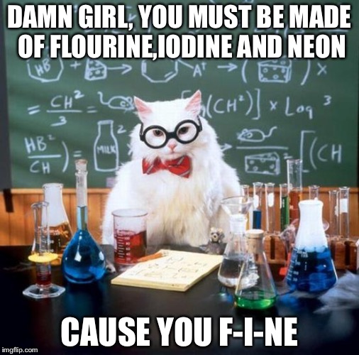 Fine,chemistry cat | DAMN GIRL, YOU MUST BE MADE OF FLOURINE,IODINE AND NEON CAUSE YOU F-I-NE | image tagged in memes,chemistry cat | made w/ Imgflip meme maker