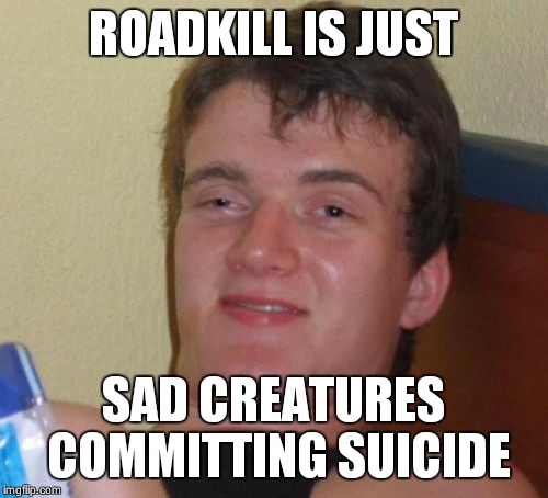 Or these lil squirrels are thrill seekers | ROADKILL IS JUST SAD CREATURES COMMITTING SUICIDE | image tagged in memes,10 guy,animals | made w/ Imgflip meme maker