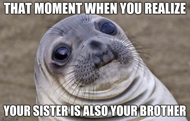 Awkward Moment Sealion | THAT MOMENT WHEN YOU REALIZE YOUR SISTER IS ALSO YOUR BROTHER | image tagged in memes,awkward moment sealion | made w/ Imgflip meme maker