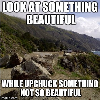 the truth | LOOK AT SOMETHING BEAUTIFUL WHILE UPCHUCK SOMETHING NOT SO BEAUTIFUL | image tagged in so true | made w/ Imgflip meme maker