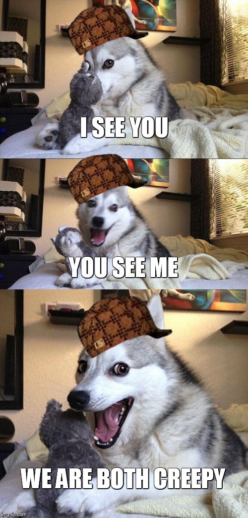 Bad Pun Dog Meme | I SEE YOU YOU SEE ME WE ARE BOTH CREEPY | image tagged in memes,bad pun dog,scumbag | made w/ Imgflip meme maker