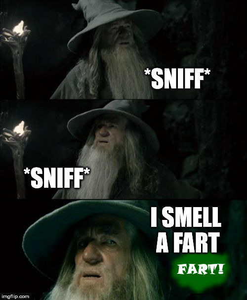 Confused Gandalf Meme | *SNIFF* *SNIFF* I SMELL A FART | image tagged in memes,confused gandalf | made w/ Imgflip meme maker
