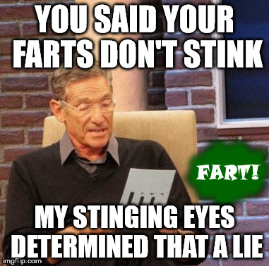 Maury Lie Detector | YOU SAID YOUR FARTS DON'T STINK MY STINGING EYES DETERMINED THAT A LIE | image tagged in memes,maury lie detector | made w/ Imgflip meme maker