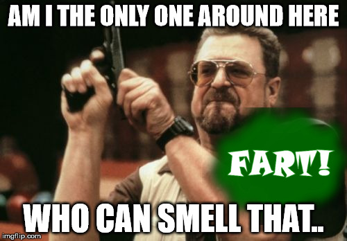 Am I The Only One Around Here | AM I THE ONLY ONE AROUND HERE WHO CAN SMELL THAT.. | image tagged in memes,am i the only one around here | made w/ Imgflip meme maker
