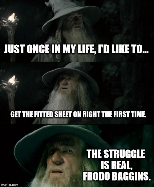 Confused Gandalf Meme | JUST ONCE IN MY LIFE, I'D LIKE TO... GET THE FITTED SHEET ON RIGHT THE FIRST TIME. THE STRUGGLE IS REAL, FRODO BAGGINS. | image tagged in memes,confused gandalf | made w/ Imgflip meme maker