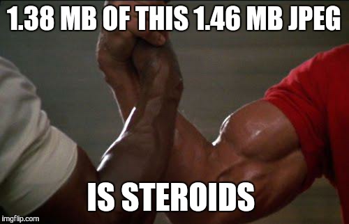 predator handshake | 1.38 MB OF THIS 1.46 MB JPEG IS STEROIDS | image tagged in predator handshake | made w/ Imgflip meme maker