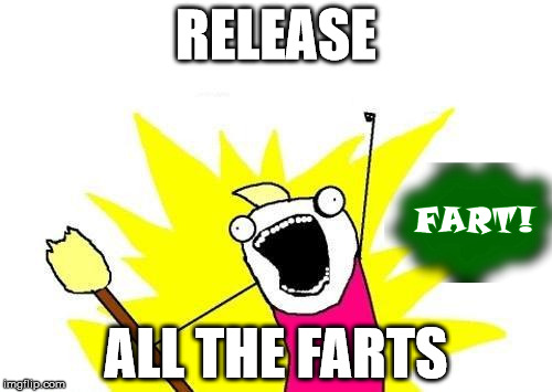 X All The Y Meme | RELEASE ALL THE FARTS | image tagged in memes,x all the y | made w/ Imgflip meme maker