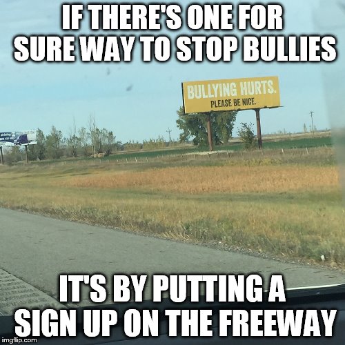 Be nice. I said BE NICE!!! | IF THERE'S ONE FOR SURE WAY TO STOP BULLIES IT'S BY PUTTING A SIGN UP ON THE FREEWAY | image tagged in memes,lol,bullying,signs/billboards | made w/ Imgflip meme maker