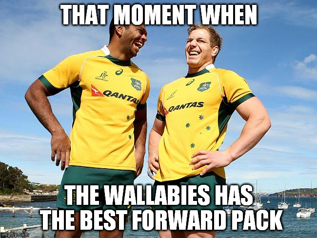 Pocock meme 1 | THAT MOMENT WHEN THE WALLABIES HAS THE BEST FORWARD PACK | image tagged in pocock meme 1 | made w/ Imgflip meme maker