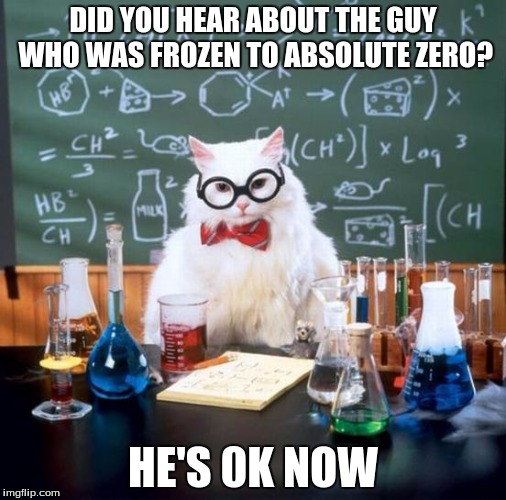 Meaning "zero degrees Kelvin", or absolute zero. | DID YOU HEAR ABOUT THE GUY WHO WAS FROZEN TO ABSOLUTE ZERO? HE'S 0K NOW | image tagged in memes,chemistry cat | made w/ Imgflip meme maker