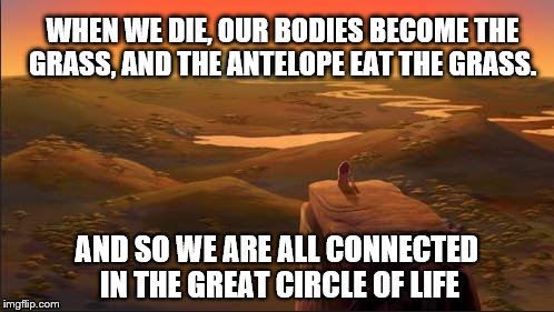 circle of life | WHEN WE DIE, OUR BODIES BECOME THE GRASS, AND THE ANTELOPE EAT THE GRASS. AND SO WE ARE ALL CONNECTED IN THE GREAT CIRCLE OF LIFE | image tagged in lion king mufasa in the sky | made w/ Imgflip meme maker
