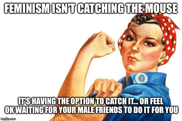 Women RIghts | FEMINISM ISN'T CATCHING THE MOUSE IT'S HAVING THE OPTION TO CATCH IT... OR FEEL OK WAITING FOR YOUR MALE FRIENDS TO DO IT FOR YOU | image tagged in women rights | made w/ Imgflip meme maker