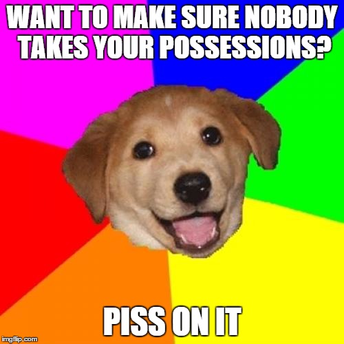 Advice Dog | WANT TO MAKE SURE NOBODY TAKES YOUR POSSESSIONS? PISS ON IT | image tagged in memes,advice dog | made w/ Imgflip meme maker