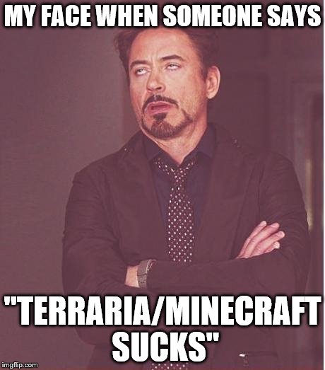 Face You Make Robert Downey Jr | MY FACE WHEN SOMEONE SAYS "TERRARIA/MINECRAFT SUCKS" | image tagged in memes,face you make robert downey jr | made w/ Imgflip meme maker