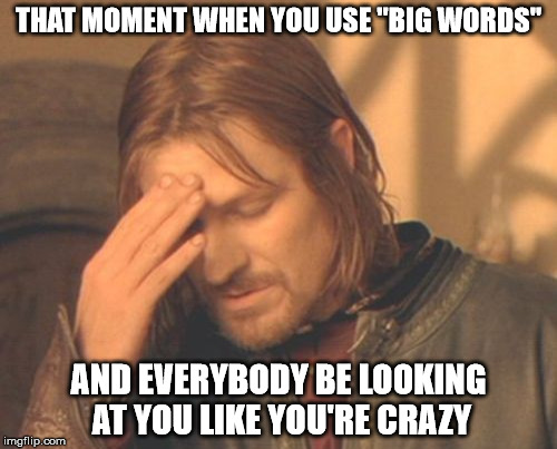 Frustrated Boromir Meme | THAT MOMENT WHEN YOU USE "BIG WORDS" AND EVERYBODY BE LOOKING AT YOU LIKE YOU'RE CRAZY | image tagged in memes,frustrated boromir | made w/ Imgflip meme maker