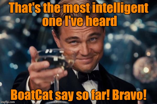 Leonardo Dicaprio Cheers Meme | That's the most intelligent one I've heard BoatCat say so far! Bravo! | image tagged in memes,leonardo dicaprio cheers | made w/ Imgflip meme maker