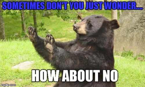 How About No Bear Meme | SOMETIMES DON'T YOU JUST WONDER.... | image tagged in memes,how about no bear | made w/ Imgflip meme maker