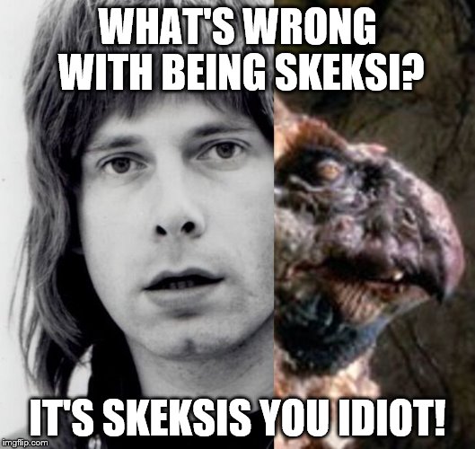 What's wrong with being skeksi? | WHAT'S WRONG WITH BEING SKEKSI? IT'S SKEKSIS YOU IDIOT! | image tagged in funny | made w/ Imgflip meme maker