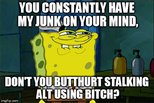 Don't You Squidward Meme | YOU CONSTANTLY HAVE MY JUNK ON YOUR MIND, DON'T YOU BUTTHURT STALKING ALT USING B**CH? | image tagged in memes,dont you squidward | made w/ Imgflip meme maker