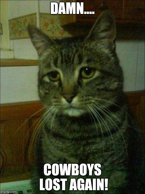Depressed Cat Meme | DAMN.... COWBOYS LOST AGAIN! | image tagged in memes,depressed cat | made w/ Imgflip meme maker
