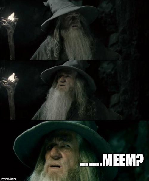 Confused Gandalf Meme | ........MEEM? | image tagged in memes,confused gandalf | made w/ Imgflip meme maker