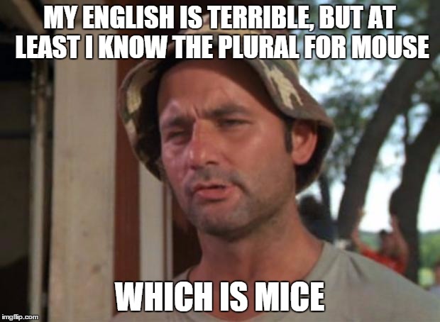 So I Got That Goin For Me Which Is Nice Meme | MY ENGLISH IS TERRIBLE, BUT AT LEAST I KNOW THE PLURAL FOR MOUSE WHICH IS MICE | image tagged in memes,so i got that goin for me which is nice,AdviceAnimals | made w/ Imgflip meme maker