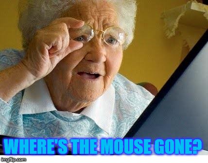 old lady at computer | WHERE'S THE MOUSE GONE? | image tagged in old lady at computer | made w/ Imgflip meme maker