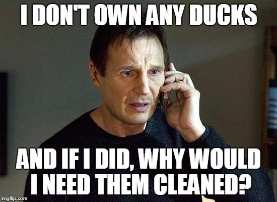 Liam Neeson Taken 2 Meme | I DON'T OWN ANY DUCKS AND IF I DID, WHY WOULD I NEED THEM CLEANED? | image tagged in liam neeson taken | made w/ Imgflip meme maker