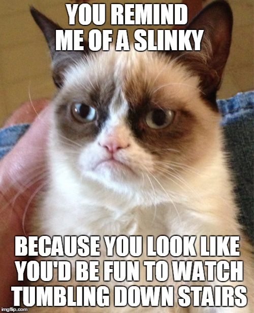 Grumpy Cat is back and madder than ever | YOU REMIND ME OF A SLINKY BECAUSE YOU LOOK LIKE YOU'D BE FUN TO WATCH TUMBLING DOWN STAIRS | image tagged in memes,grumpy cat,slinky,insult,stairs | made w/ Imgflip meme maker