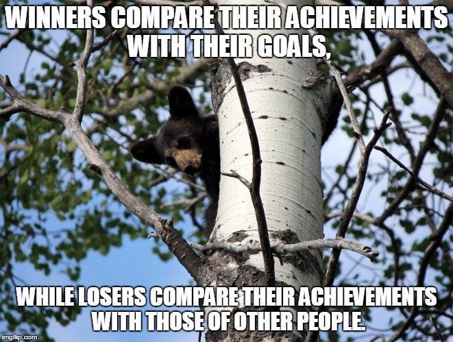 Winners compare their achievements with their goals, while losers compare their achievements with those of other people.  | WINNERS COMPARE THEIR ACHIEVEMENTS WITH THEIR GOALS, WHILE LOSERS COMPARE THEIR ACHIEVEMENTS WITH THOSE OF OTHER PEOPLE. | image tagged in bear in tree,winner,nido qubein,achievement | made w/ Imgflip meme maker
