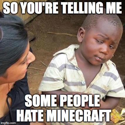 Third World Skeptical Kid | SO YOU'RE TELLING ME SOME PEOPLE HATE MINECRAFT | image tagged in memes,third world skeptical kid | made w/ Imgflip meme maker