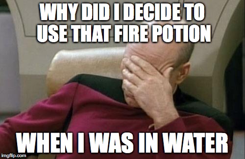 Captain Picard Facepalm Meme | WHY DID I DECIDE TO USE THAT FIRE POTION WHEN I WAS IN WATER | image tagged in memes,captain picard facepalm | made w/ Imgflip meme maker