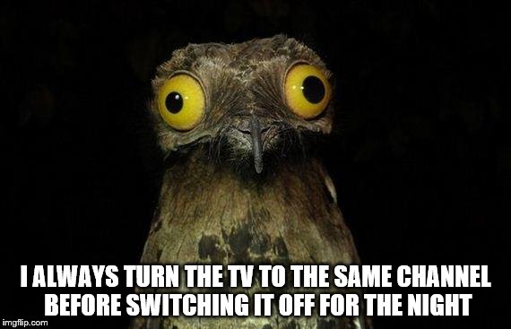 Weird Stuff I Do Potoo Meme | I ALWAYS TURN THE TV TO THE SAME CHANNEL BEFORE SWITCHING IT OFF FOR THE NIGHT | image tagged in memes,weird stuff i do potoo | made w/ Imgflip meme maker