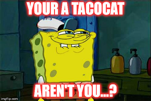 Don't You Squidward Meme | YOUR A TACOCAT AREN'T YOU...? | image tagged in memes,dont you squidward | made w/ Imgflip meme maker