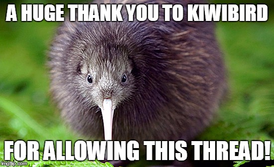 kiwi | A HUGE THANK YOU TO KIWIBIRD FOR ALLOWING THIS THREAD! | image tagged in kiwi | made w/ Imgflip meme maker