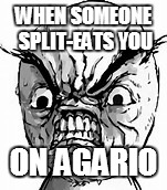 WHEN SOMEONE SPLIT-EATS YOU ON AGARIO | image tagged in ultimate rage | made w/ Imgflip meme maker