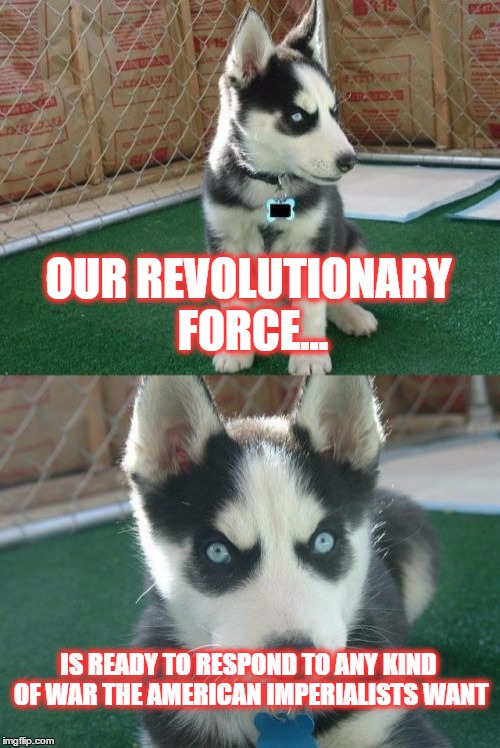 Insanity Puppy Channels Kim Jong Un | OUR REVOLUTIONARY FORCE... IS READY TO RESPOND TO ANY KIND OF WAR THE AMERICAN IMPERIALISTS WANT | image tagged in memes,insanity puppy | made w/ Imgflip meme maker