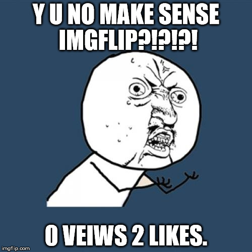 Y U No | Y U NO MAKE SENSE IMGFLIP?!?!?! 0 VEIWS 2 LIKES. | image tagged in memes,y u no | made w/ Imgflip meme maker
