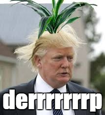 derrrrrrrp | made w/ Imgflip meme maker