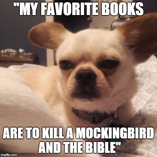 Slightly disgusted dog | "MY FAVORITE BOOKS ARE TO KILL A MOCKINGBIRD AND THE BIBLE" | image tagged in favorite books,dumb people,chug,slightly disgusted dog | made w/ Imgflip meme maker