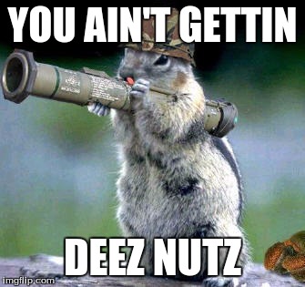 Bazooka Squirrel | YOU AIN'T GETTIN DEEZ NUTZ | image tagged in memes,bazooka squirrel | made w/ Imgflip meme maker