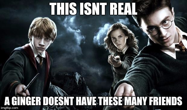 Harry Potter Wands | THIS ISNT REAL A GINGER DOESNT HAVE THESE MANY FRIENDS | image tagged in harry potter wands | made w/ Imgflip meme maker