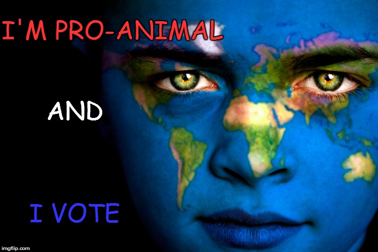 Pro animal | I'M PRO-ANIMAL I VOTE AND | image tagged in vote,animal rights,world is watching | made w/ Imgflip meme maker