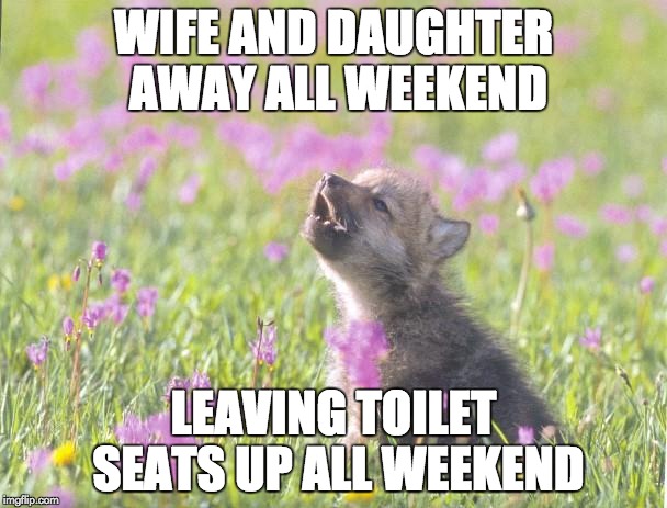 Baby Insanity Wolf | WIFE AND DAUGHTER AWAY ALL WEEKEND LEAVING TOILET SEATS UP ALL WEEKEND | image tagged in memes,baby insanity wolf,AdviceAnimals | made w/ Imgflip meme maker