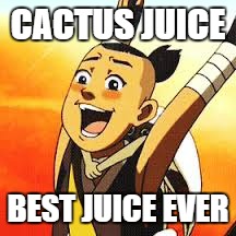 sokka cactus juice | CACTUS JUICE BEST JUICE EVER | image tagged in sokka cactus juice | made w/ Imgflip meme maker