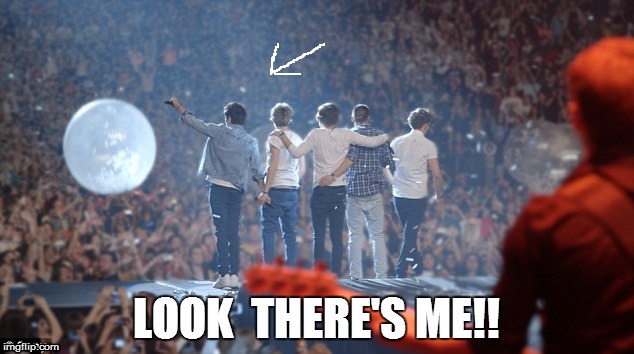 Me At The Concert | LOOK THERE'S ME!! | image tagged in 1d | made w/ Imgflip meme maker